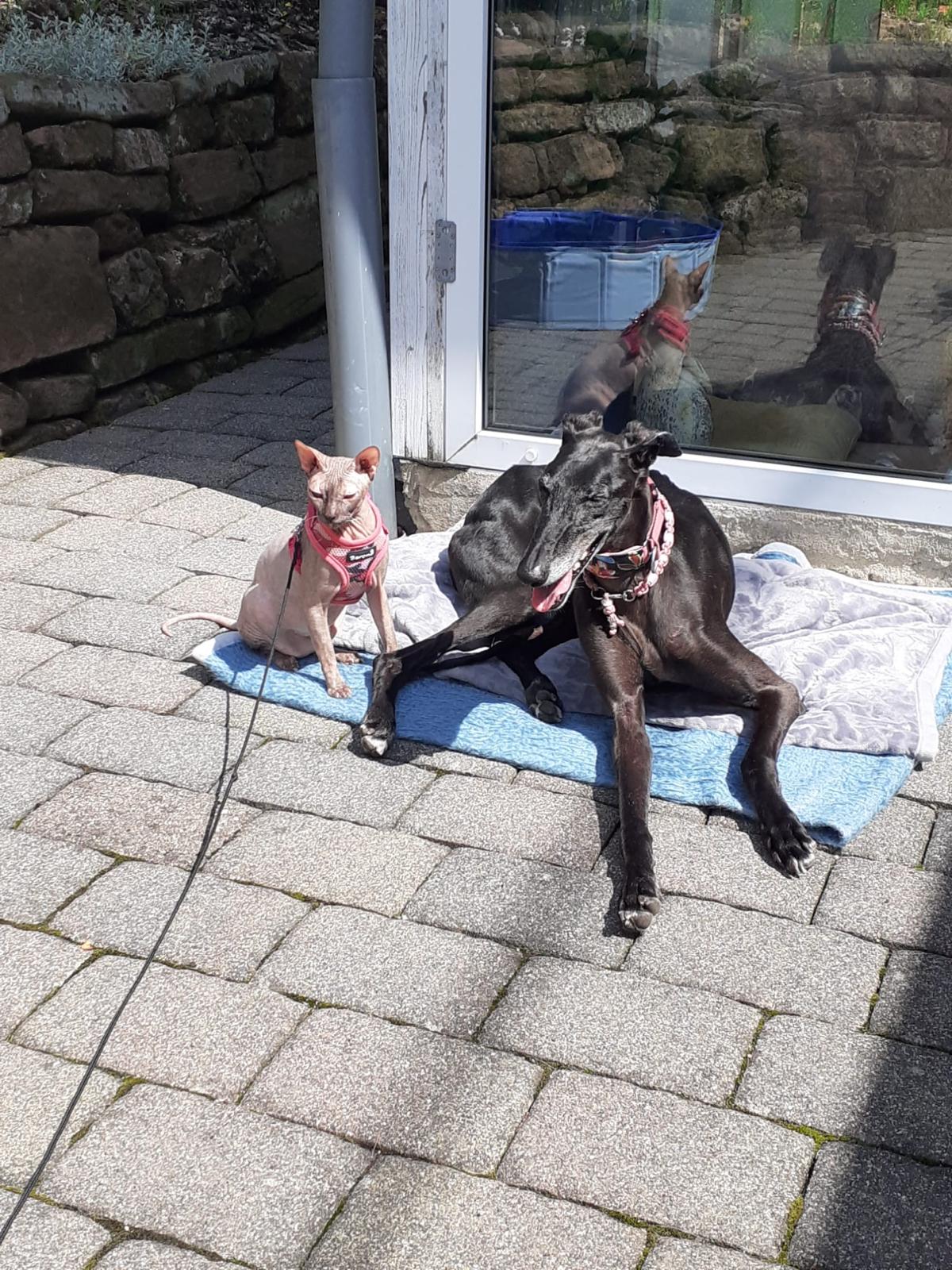 Sonntägliche Grüße 